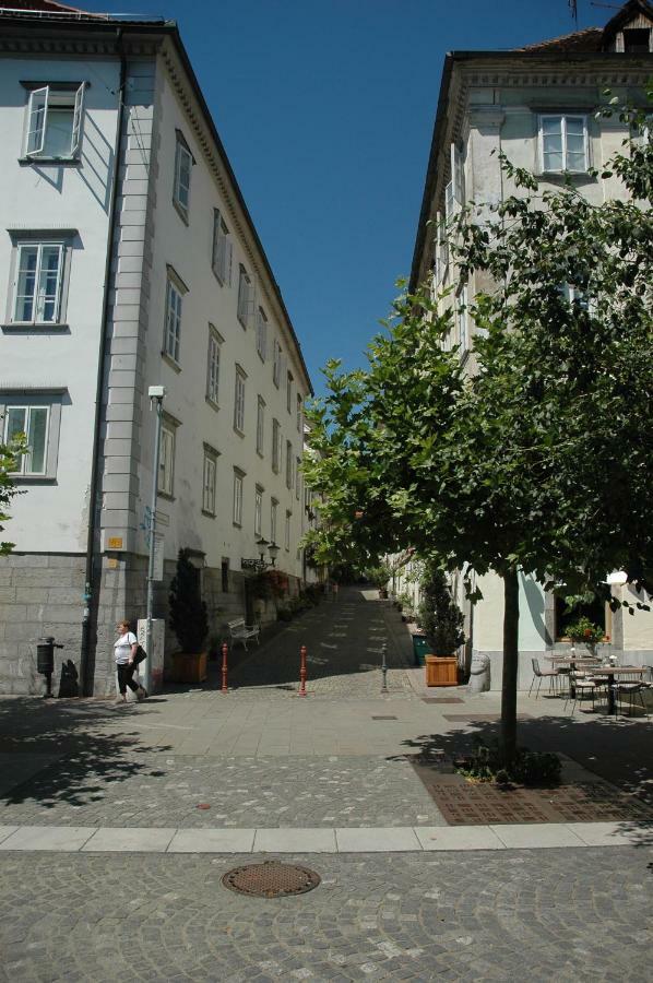 Vitez Apartment II Ljubljana Ngoại thất bức ảnh